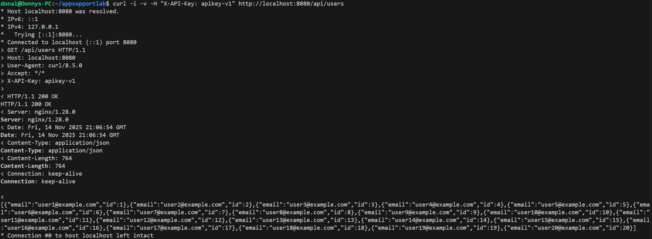 Terminal showing app_auth_success_total incrementing and failures at zero