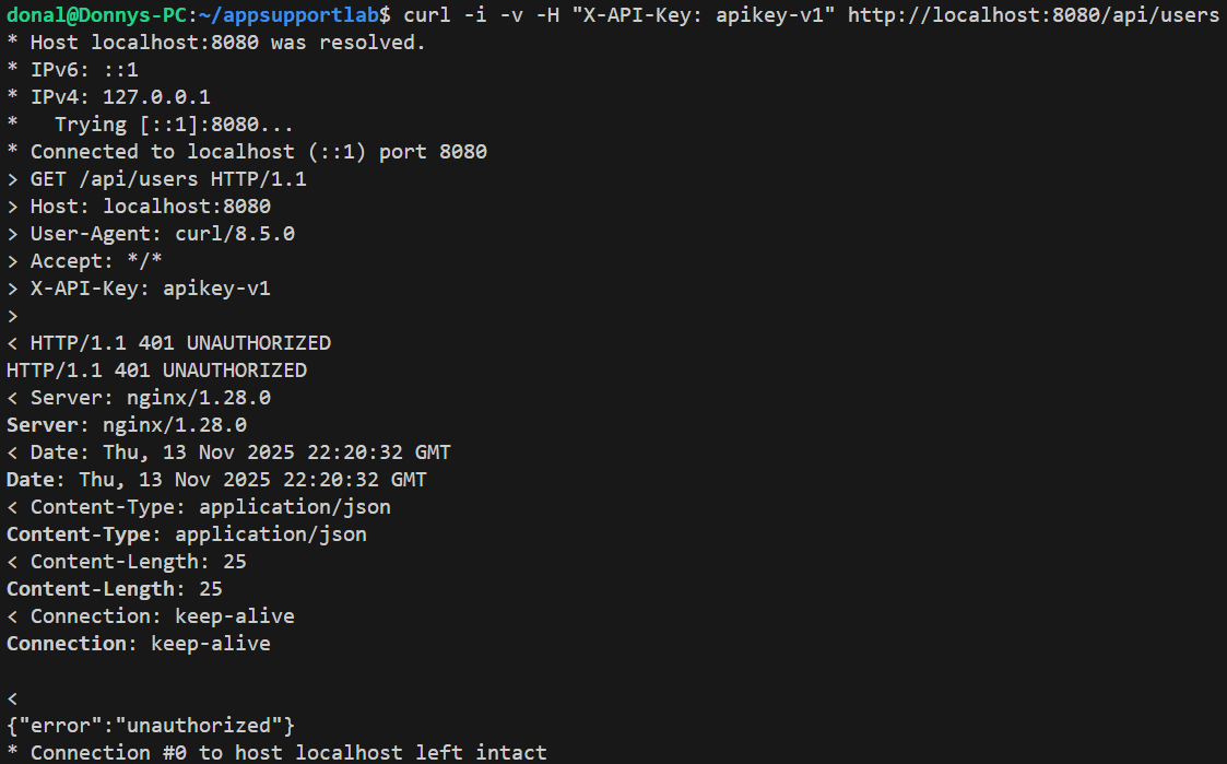curl with X-API-Key: apikey-v1 now returning 401 Unauthorized JSON