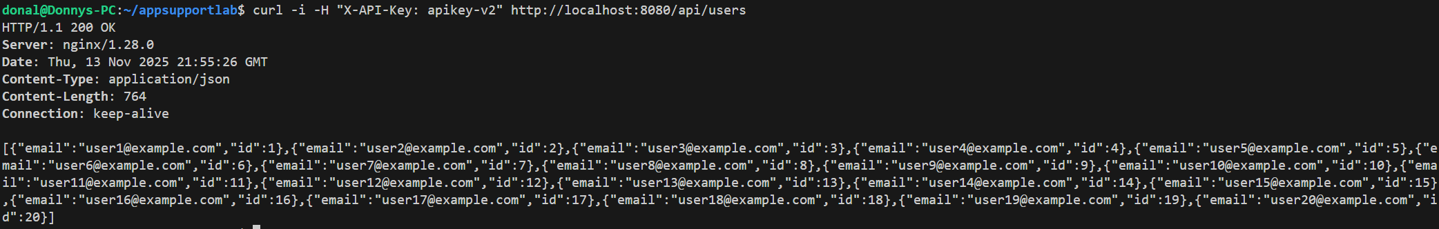 curl with X-API-Key: apikey-v2 returning 200 OK and user JSON